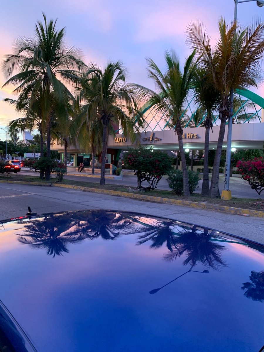 Cilajet's tweet photo. The President of @Alamo in #Mexico reflecting the future with #Cilajet Aviation Grade.
#thatcilajetshine #autopaintprotection #cardetailing
#autopaintsealant #bestautopaintprotection
#bestcarpaintsealant #bestautopaintsealant #cilajet https://t.co/SczZpqIQ8W