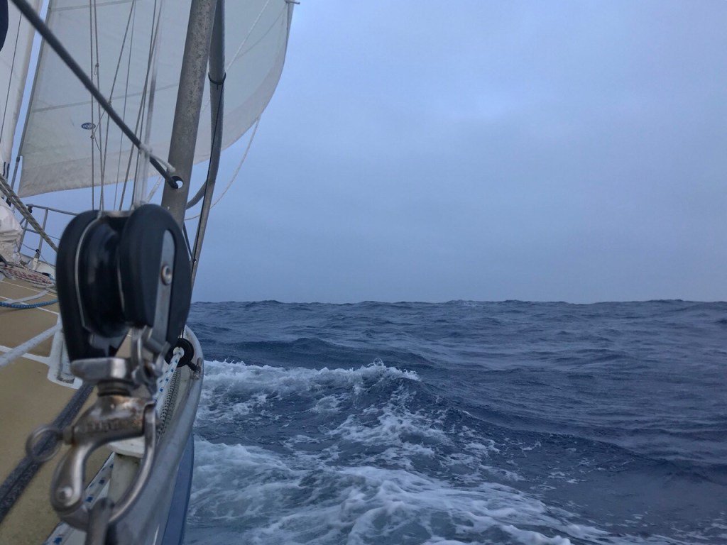 how to lose weight without exercise