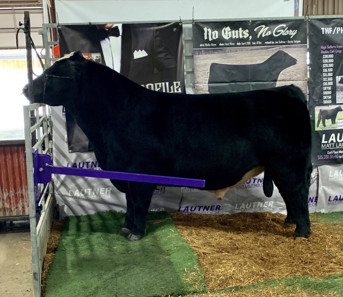 mattlautner's tweet photo. Style &amp; Profile On Display At Ohio Beef Expo!  #MLC #OhioBeefExpo #StyleNProfile #BreedLautner https://t.co/vl0ImSAGFB