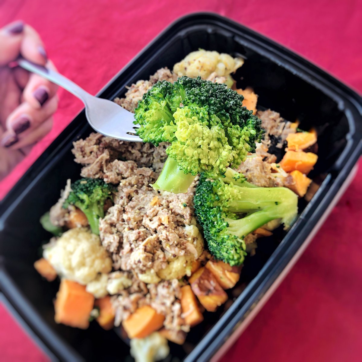 ⁣⁣Super close with this superfood!⁣⁣⁣
⁣⁣⁣Do you know the 7 Superfoods? These are all apart of the OM Family.⁣⁣⁣
Raw nuts⁣⁣⁣
Berries⁣⁣⁣
Salmon⁣⁣⁣
Beans⁣⁣⁣
Brocolli⁣⁣⁣
Quinoa⁣⁣⁣
Green Tea⁣⁣⁣
⁣⁣⁣#superfoods #broccoli