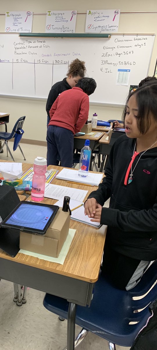 Fifth graders <a href="/elmarkert/">Mrs. Markert</a> class are testing the hypothesis that group size impacts stress levels. What do you predict will happen? Stay tuned for the answer. <a href="/InSciEdOut/">InSciEd Out</a> <a href="/RiversideOtters/">Riverside Central Elementary School</a>