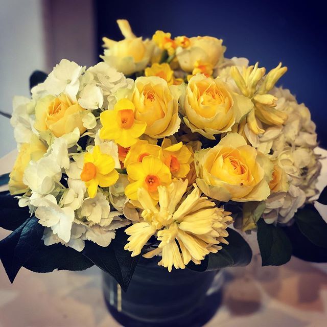 Hooray for yellow! #spring #springflowers #happiness #lauraclaredesign