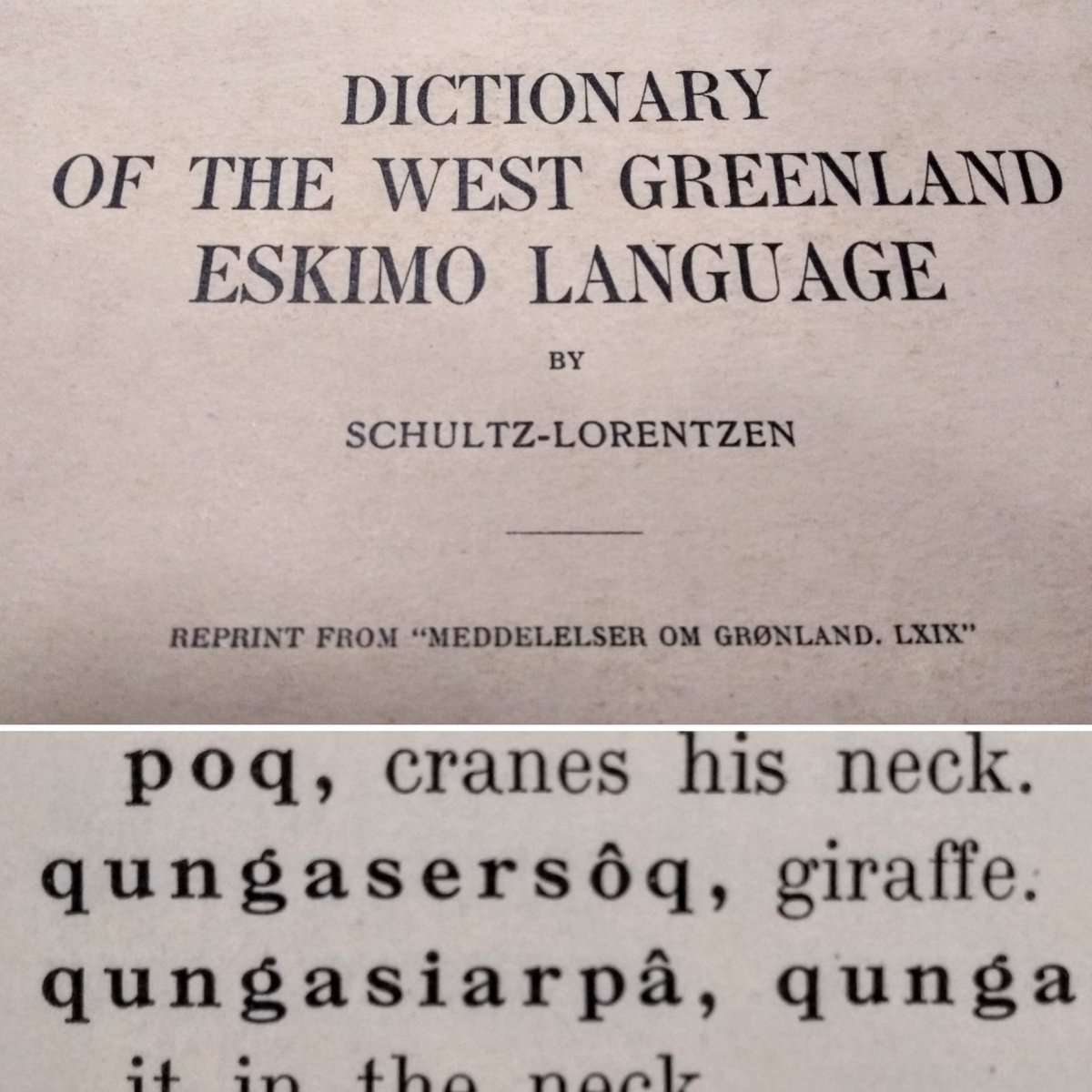 MM_Connects's tweet photo. Had a fascinating #Languages chat in our Bureau of Surrealism, adopting endangered Greenlandic words through @nancycampbelle #PolarTombola activity. #MMAfterHours
Discovered their word for giraffe: 'qungaserôq' - we didn't expect it to exist in their language! #Misconceptions https://t.co/l7BKts2SQK