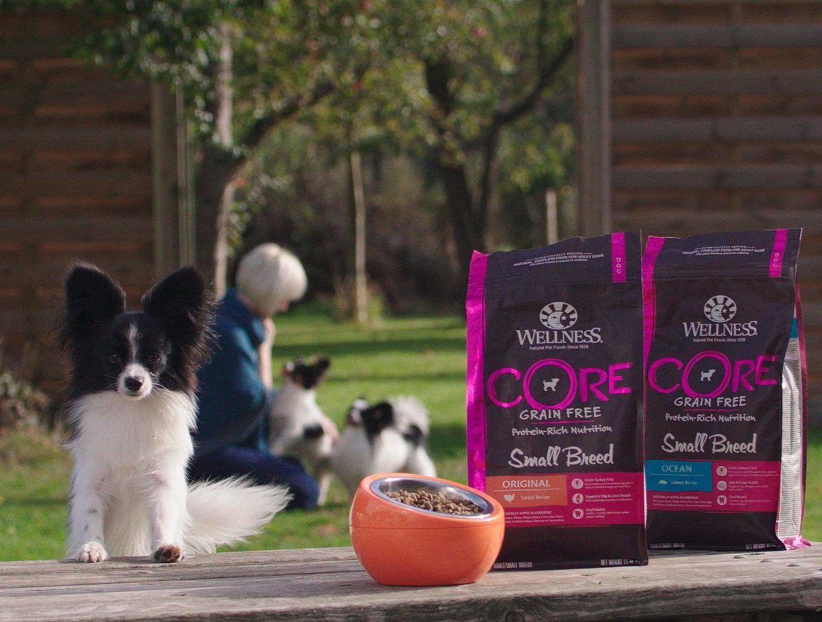 kennelgate's tweet photo. #WellnessCORE The taste of Health &amp; Happiness Approved by Dylan!

#DylantheVillain🏆🐶 2019 #BestinShowWinner at @Crufts is 100% fuelled by CORE Small breed! 

There is a reason why CORE is one of our best sellers!
#crufts2019 #pappillon #crufts #cruftswinner #winner https://t.co/pxmHggbGDb