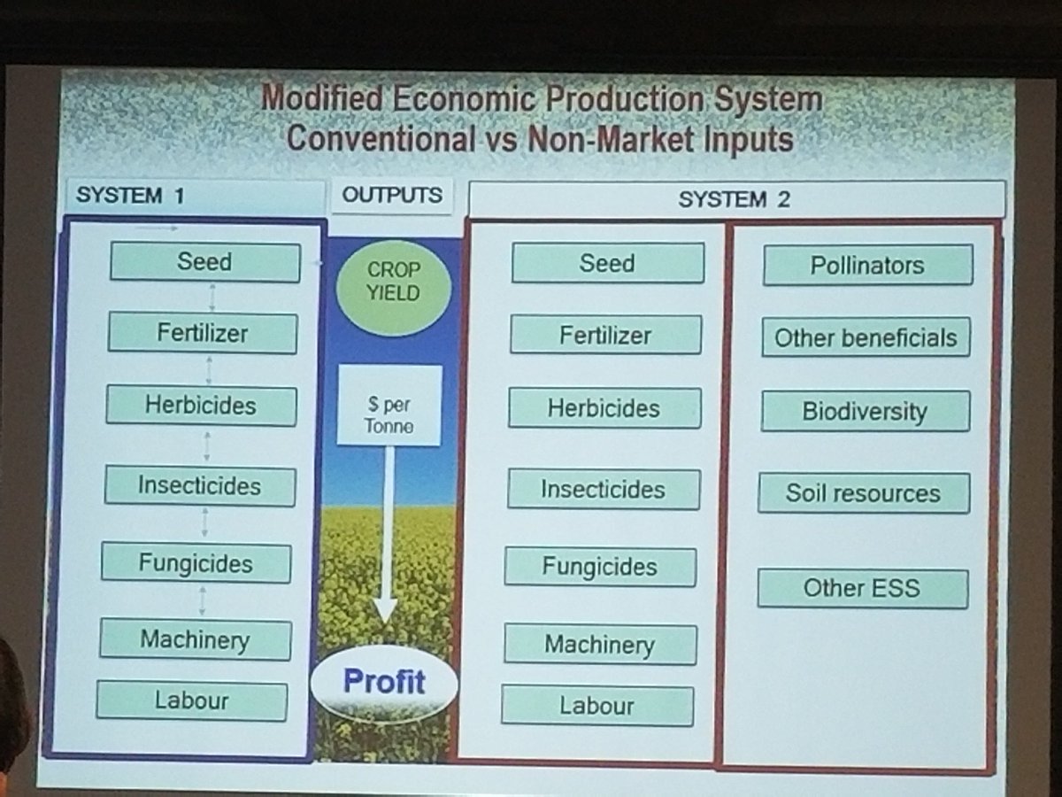 raju_aafc's tweet photo. Economics of field boundary habitats #agroforestry on ecosystem services @AAFC_Canada @AFTAgroforestry @EURAF_AF @wca2019 https://t.co/W8PIUz9y6H