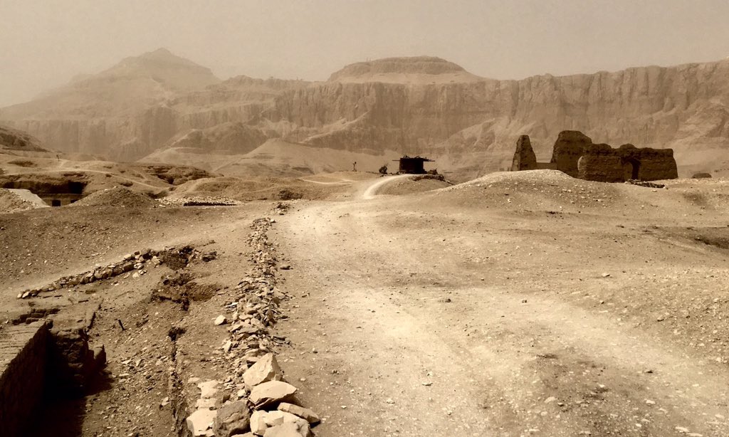 Dr Chris Naunton tweet media