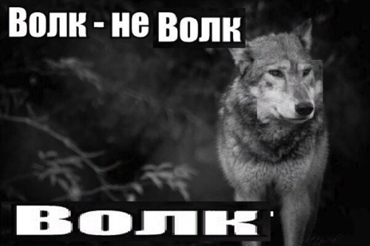MrPenkorol's tweet photo. @ekepackvek https://t.co/y0GPJP6RLV
