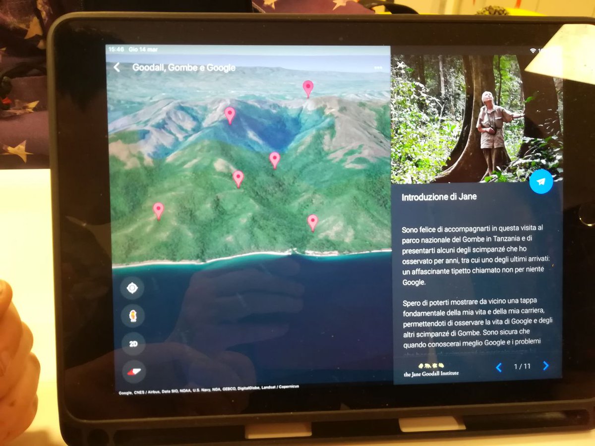 elmeskolan's tweet photo. @GoodallTw @RagazzeTw @MerianTw @MontalciniTw @DigitaleRosa @OggiScienza @vichidemarchi @gVallortigara @EScienza @robertafulci @TwLetteratura @Sim_Dawdler @Explora_Roma Lei è Jane. 
O bruni scimpanzé la vedete? 
Gioca nel Gombe.

3,1415926535 #PiDay 
@GoodallTw #JaneGoodall #RagazzeTw 

(pluriclasse di italiano, Älmhult) https://t.co/ieQ3OOPJZA