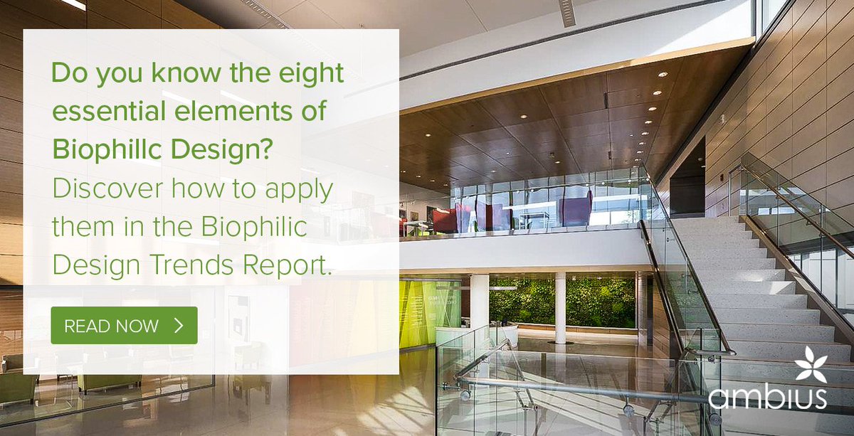 Ambius's tweet photo. The Biophilic Design movement is only just beginning. Discover what makes a design biophilic and what trends are on the horizon in our NEW Biophilic Design Trends Report - Out Now. #BiophilicTrends #EmpoweringWorkspaces
Get your report today >> https://t.co/K9a84J7TkJ https://t.co/qGB2O5A9on