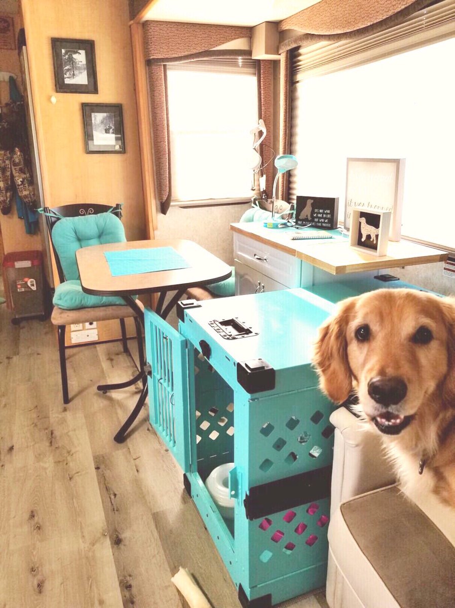 rv dog crate
