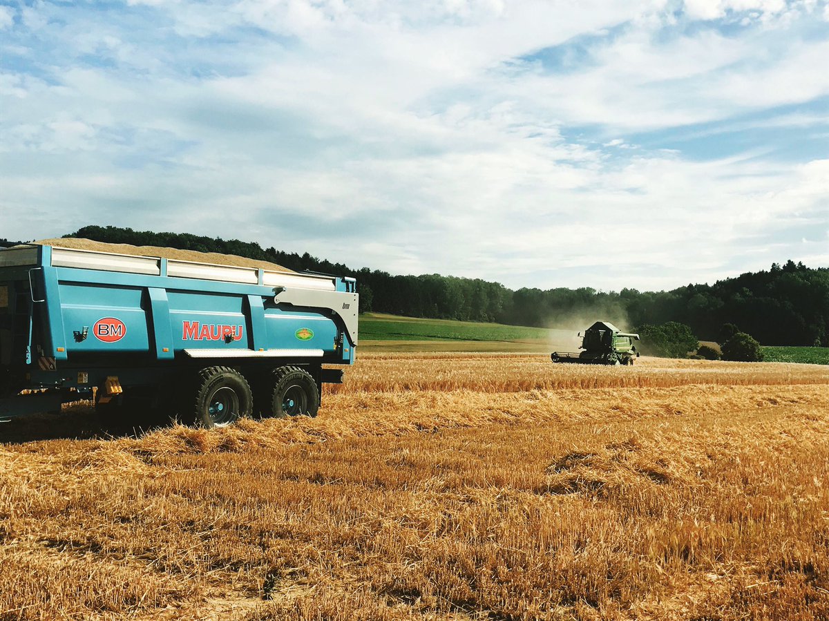 BMaupu's tweet photo. @BMaupu #moisson @Suisse #agriculture https://t.co/vW7vfZhFOZ