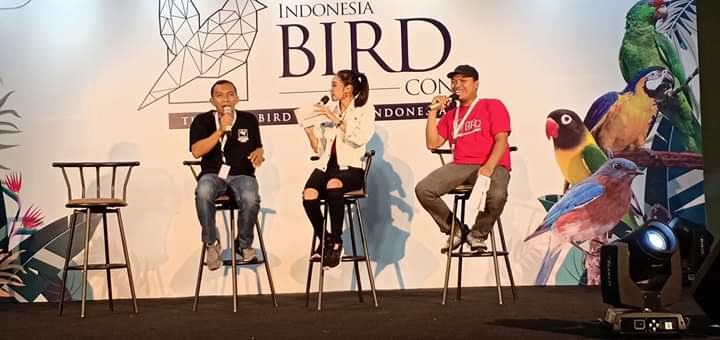 Talkshow about finches birds