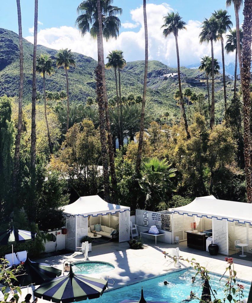 FIDM_Reese's tweet photo. Q4: I’m going to Palm Springs with my mom before Spring quarter! I’m so excited to relax in the sun ☀️ @FIDM #FIDMFinals https://t.co/kYRxwGNPca