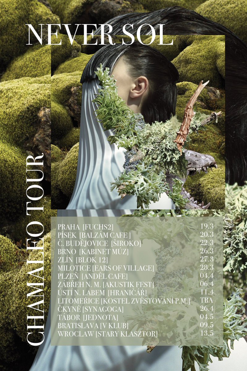 Never Sol tweet media