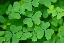 Avoid the pinch, wear the green! V5 Systems wishes you a very lucky St. Patrick's Day weekend!