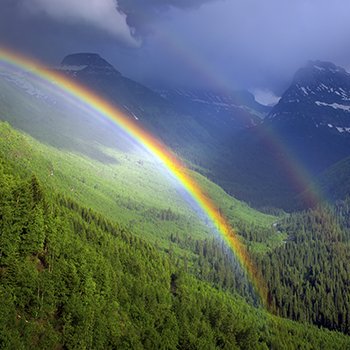 susila55's tweet image. Nice shot...Tiger hears "Tiger, I love you man!" As he walks..
#tigereffect