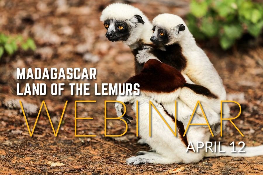 Join us for a 30-minute webinar on travel to Madagascar by Wildland's Africa guru Chris Moriarty who just returned from nearly a month in Madagascar. bit.ly/2XYXxJq #madagascar #travel #freeseminar #traveltips