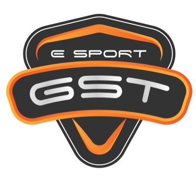 GstSport's tweet photo. #NouvellePhotoDeProfil https://t.co/hXQzycoydT