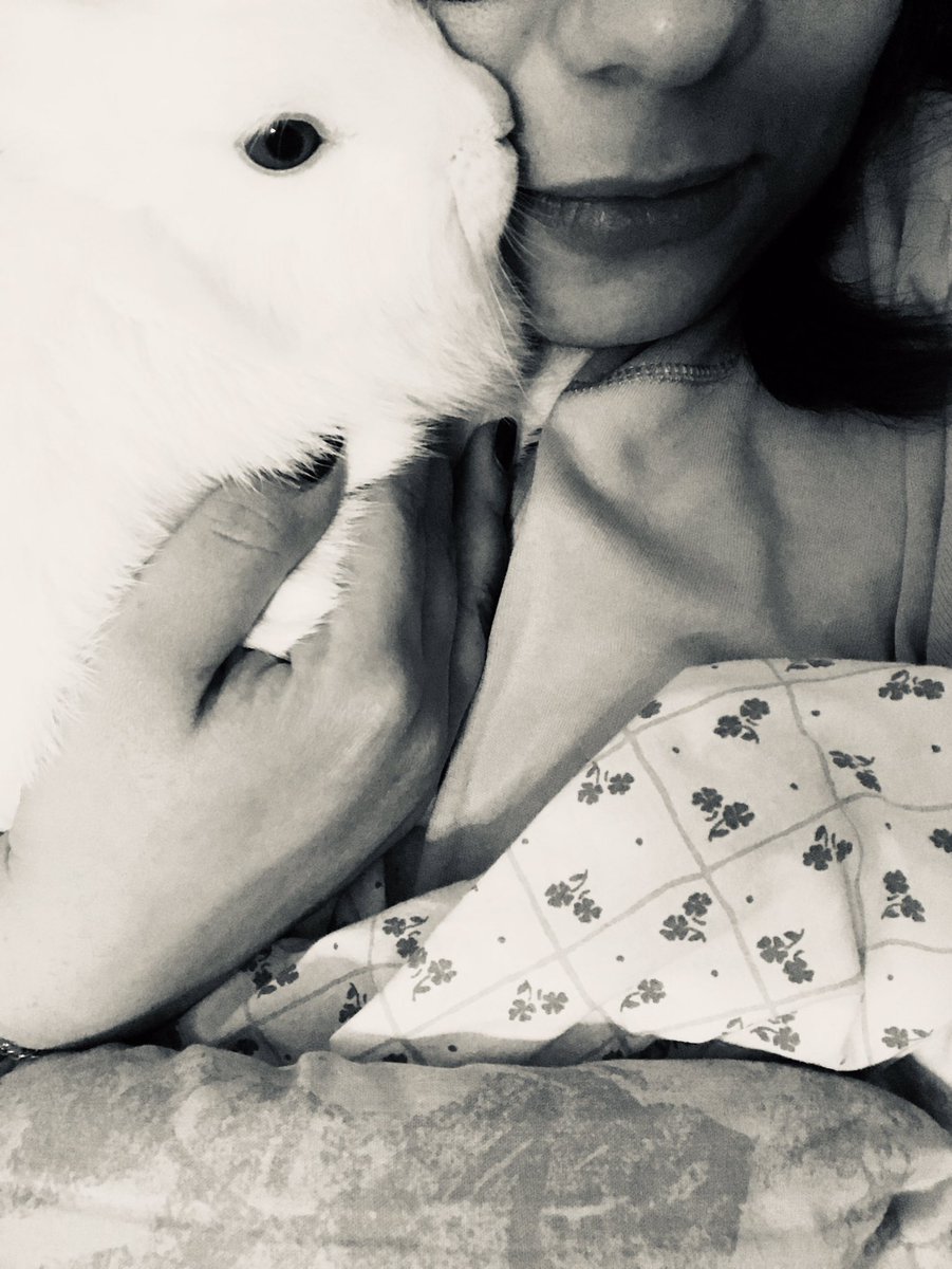 AboutSponge's tweet image. Vicini vicini