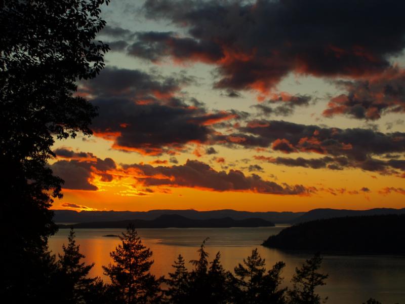 Orcas Island Chamber tweet media