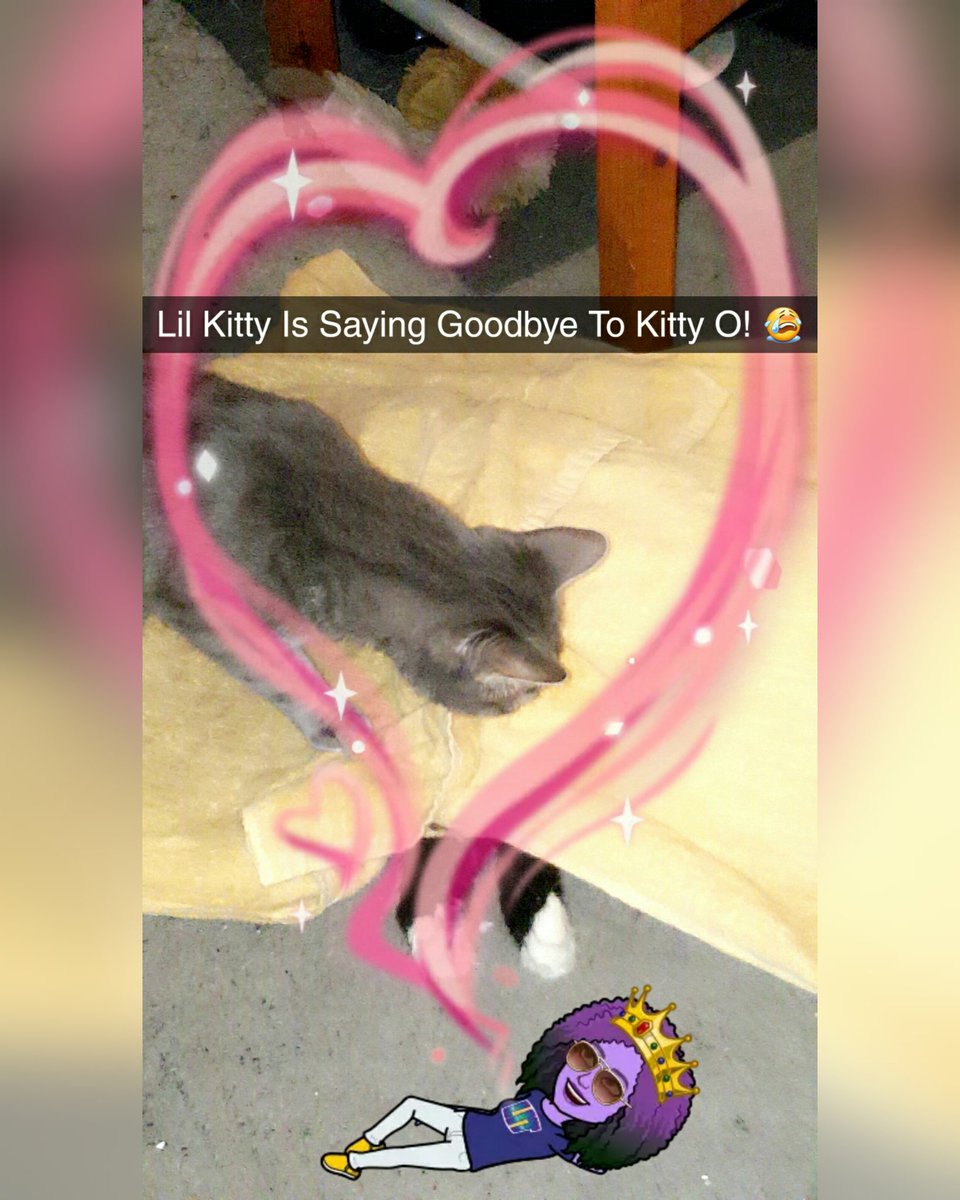 msmastafoxx's tweet photo. #RIP Kitty-O! My Heart Is Broken! We Know You're At Peace Now! We Will Never Forget You! Forever In Our Hearts! ๐๐๐ฑ๐๐ญ (2006-2019) #13YearsOld #UniversalFlight #RestInPeace #Transition #KittyO #MyBaby #Family #MsMastaFoxx #CosmicFam #TuxedoCat #Mancoon #HeartBroken #MyBoy https://t.co/mQup6jwhbf