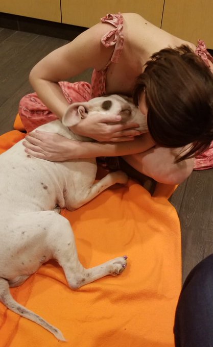 Jasmine Lee Keith - 1 pic. Rest In Peace Coco. https://t.co/mZv1q2imGd