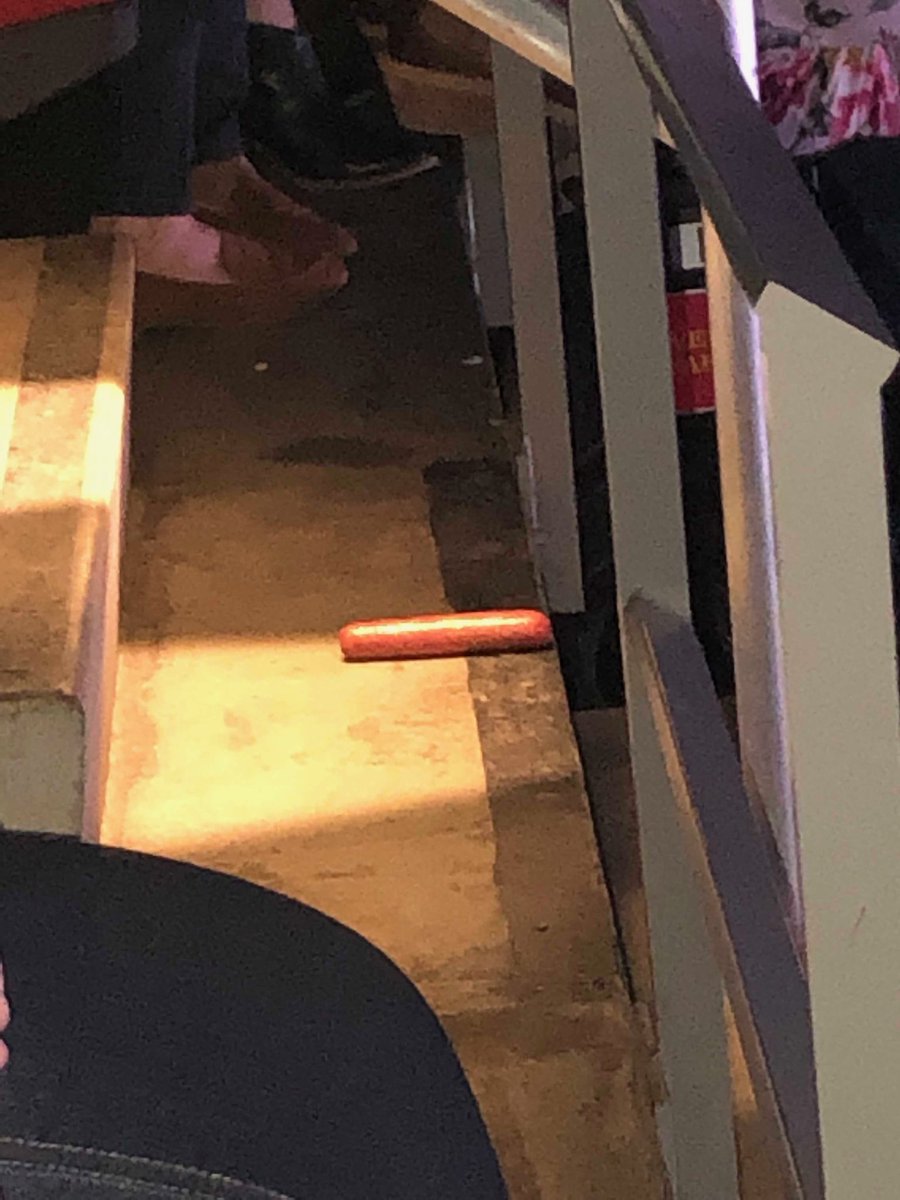 jthcbaker's tweet photo. Dog down At Blake Shelton concert #bsdesmoines https://t.co/kUWbMAcTmO
