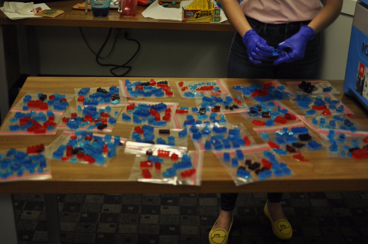 AapsChapter's tweet photo. AAPS-Student Chapter&amp;PGSA inspired future female scientists in Girls’ Day @BillTXCeutics @HDCSmyth @UTPharmacy https://t.co/rokSUjEmOV
