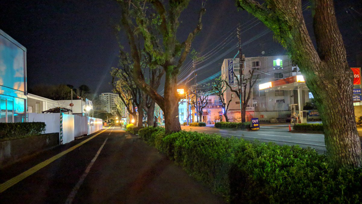 ayuphotolog's tweet photo. pixel3の夜景モードがすごいと話題。
無加工でこの明るさ！

#pixele https://t.co/zih8F2eYtg