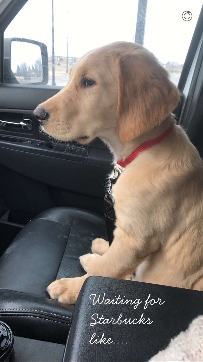 lexietroy's tweet photo. Can we just appreciate my nephew for a moment. Thank you. https://t.co/vY0zmMKMtL