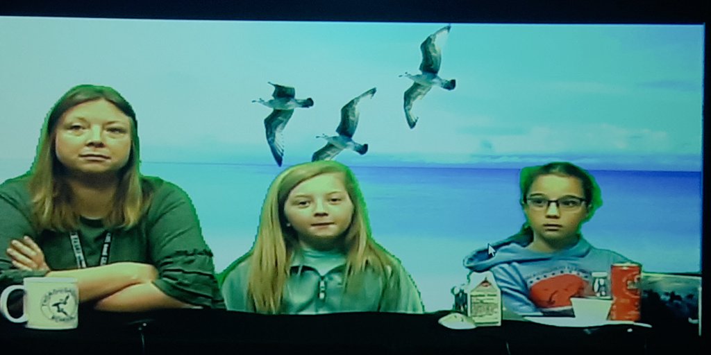 Terri Darnell tweet media