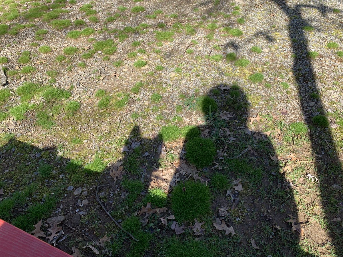 kimberlycpaul's tweet image. Tomorrow... Let’s change how we communicate! Pick up the phone... dial a number... hear a voice... and tell them thank you/ I love you/ you matter!! youtu.be/ePOiigAeKHs #HPM2019 #livewelldiewelltour @LivingFullyKY @agilbertwriter @brenda32193549 @andrewdc38 @KaercherTFAP