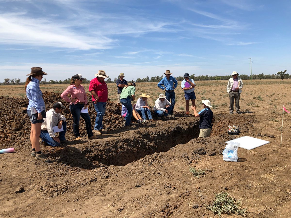 BackPaddockCo's tweet image. Fun in the classroom and sun this week for our ProSoils-Grain students! Starting with our Gilgandra class on Wednesday 13th March. ProSoils-Grain offered in partnership with @TocalCollege funded by #AgSkilled