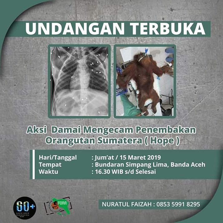 Andinurmuhmmad1's tweet photo. MARI BERGABUNG
#PrabowoSubianto #SandiagaUno #PrabowoSandi #RelawanPAS #RePASTamiang #InstalPrabowo #InstalSandi #NomorUrut2 #PemilihAkalSehat #AmbilPaketnyaCoblosTetap02 #17AprilPrabowoSandi #PrabowoSandiUntukIndonesia #IndonesiaMenang #PrabowoTheNextLeader #02BersamaRakyat https://t.co/NKC3t3P3bP