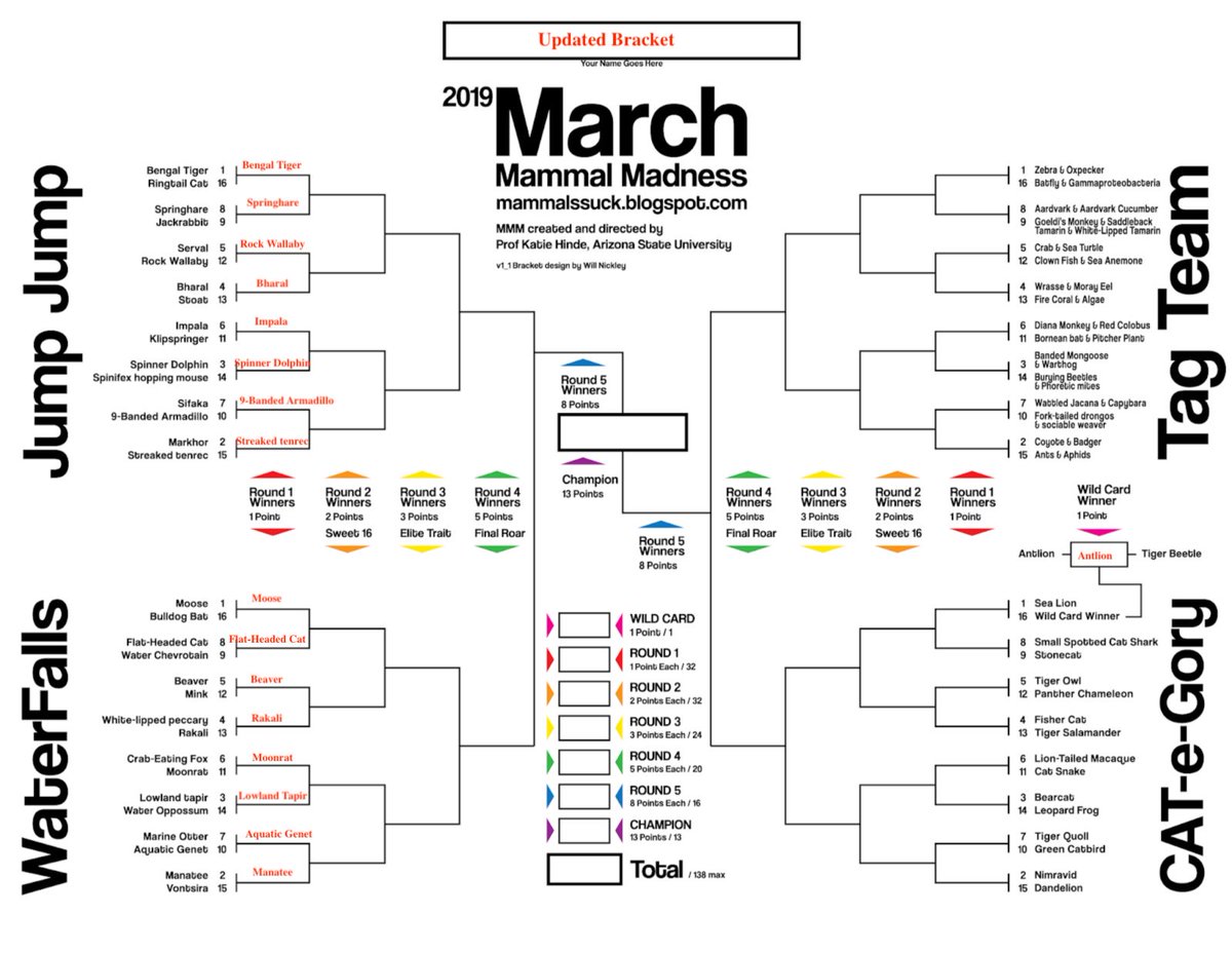 Tonight's #2019MMM Winners: Moose, Flat-Headed Cat, Beaver, Rakali, Moonrat, Lowland Tapir, Aquatic Genet, and Manatee. Join us Monday 18th at 8:30 eastern for Cat-e-Gory Round 1!