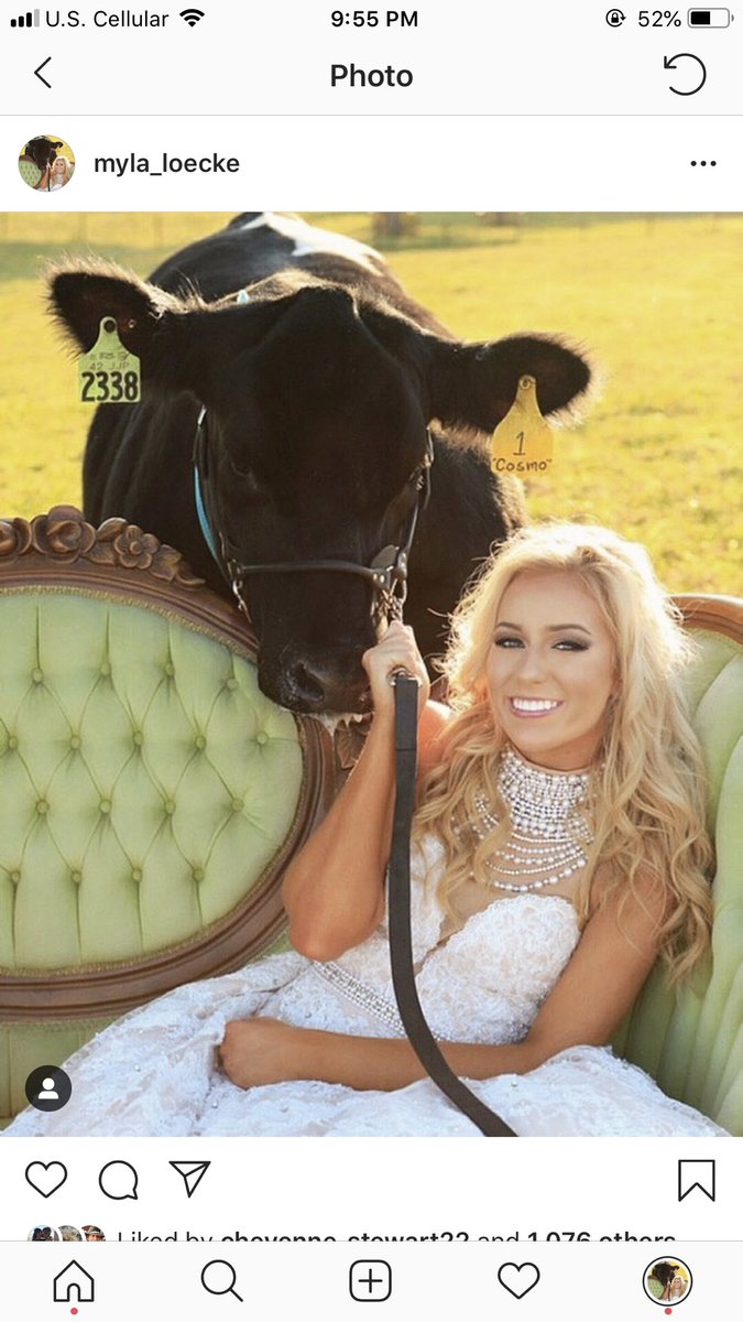 Daddy long legs (@myla_loecke) on Twitter photo 