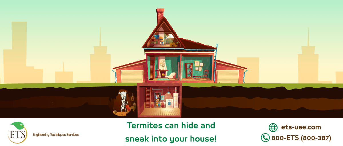 etsuae's tweet image. Termites have a great capacity at hiding and building their colonies outside the place they attack; this is their major source of danger and why they are difficult to terminate.
Give ETS a call to help you terminate them: 
800-387
Or visit our website:
ets-uae.com/freecheck/term…