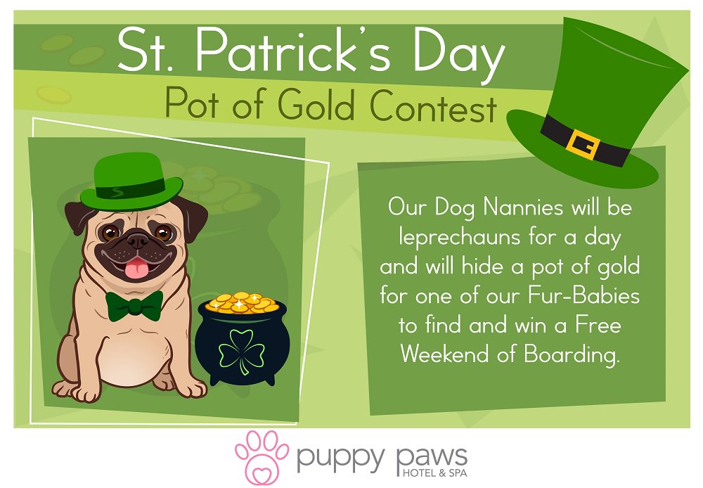 #saintpatricksday