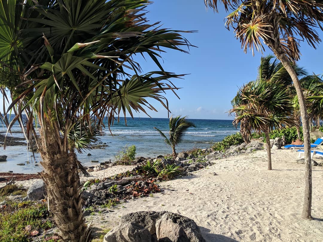 Well it seems with the grounding of the Boeing 737-8 & 9 Max
We are going to be staring at the beach and palm trees a little longer than planned
#boeing737max8
#aircanada #aeroplan 
#mexico #paradise🌴 
#beaches #oceanview 
#vancouverbc #737max #boeing 
#boeing737max8 #boeingmax9