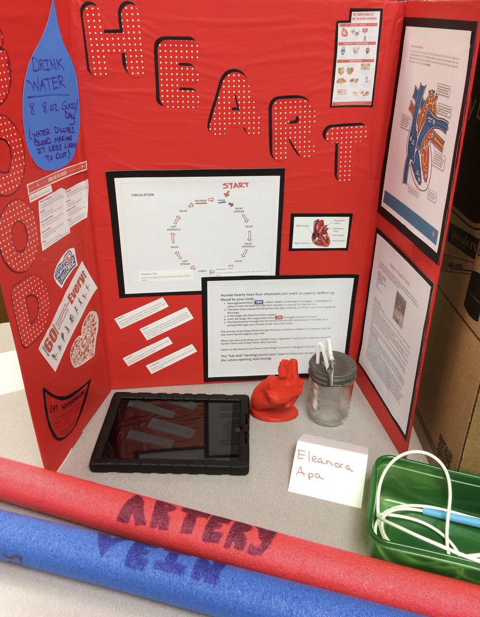 Sarah Klein tweet media