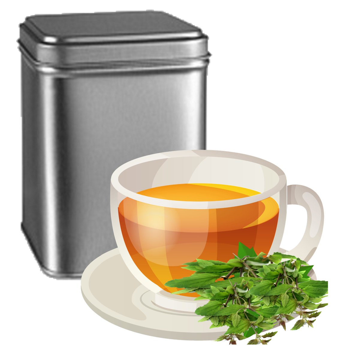 He_Him_His's tweet photo. urdock Root Tea Bags 25 Organic Herbal Tea Bags in Decorative Tea Tin https://t.co/0p7A0BEO1W #plantsandedibles #tea #burdockroot urdock Root Tea Bags 25 Organic Herbal Tea Bags in Decorative Tea Tin https://t.co/0p7A0BEO1W #plantsandedibles #tea #burdockroot #burdockr https://t.co/dFn7iDvNVD