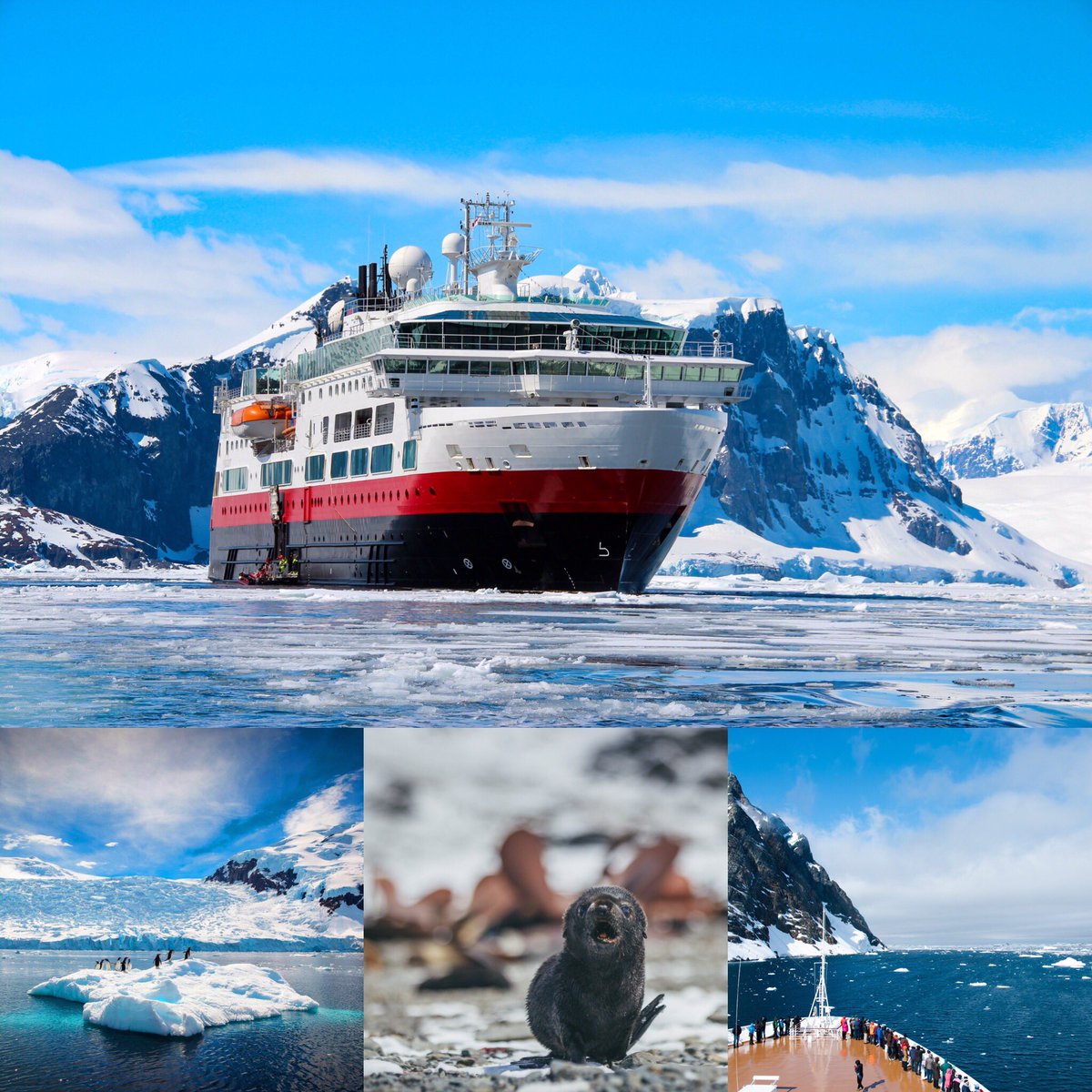 Tripoetic tweet media