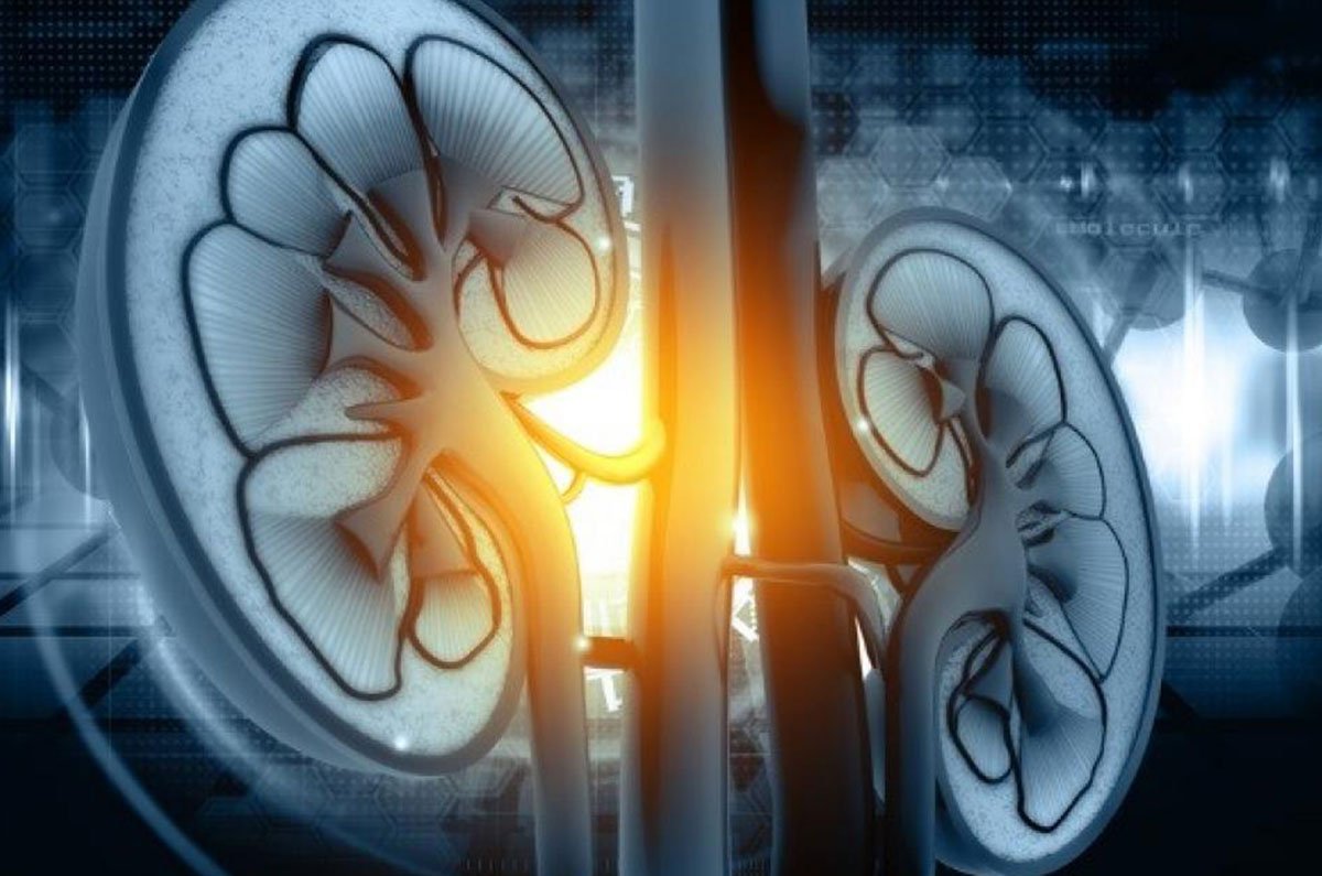 BeyondPinkApp's tweet photo. DO NOT IGNORE THESE 10 SIGNS THAT TELLS YOUR KIDNEY ISN’T HEALTHY
READ MORE INTERESTING FEATURES VISIT OUR PLATFORM
https://t.co/GH73Cb0PVA
#kidneyday #health #beyondpink #beyondpinkworld #beyondpinkapp
#women #womenempowerment #womeninspiration #womenrespect #shefacts https://t.co/I3UaedSoxT