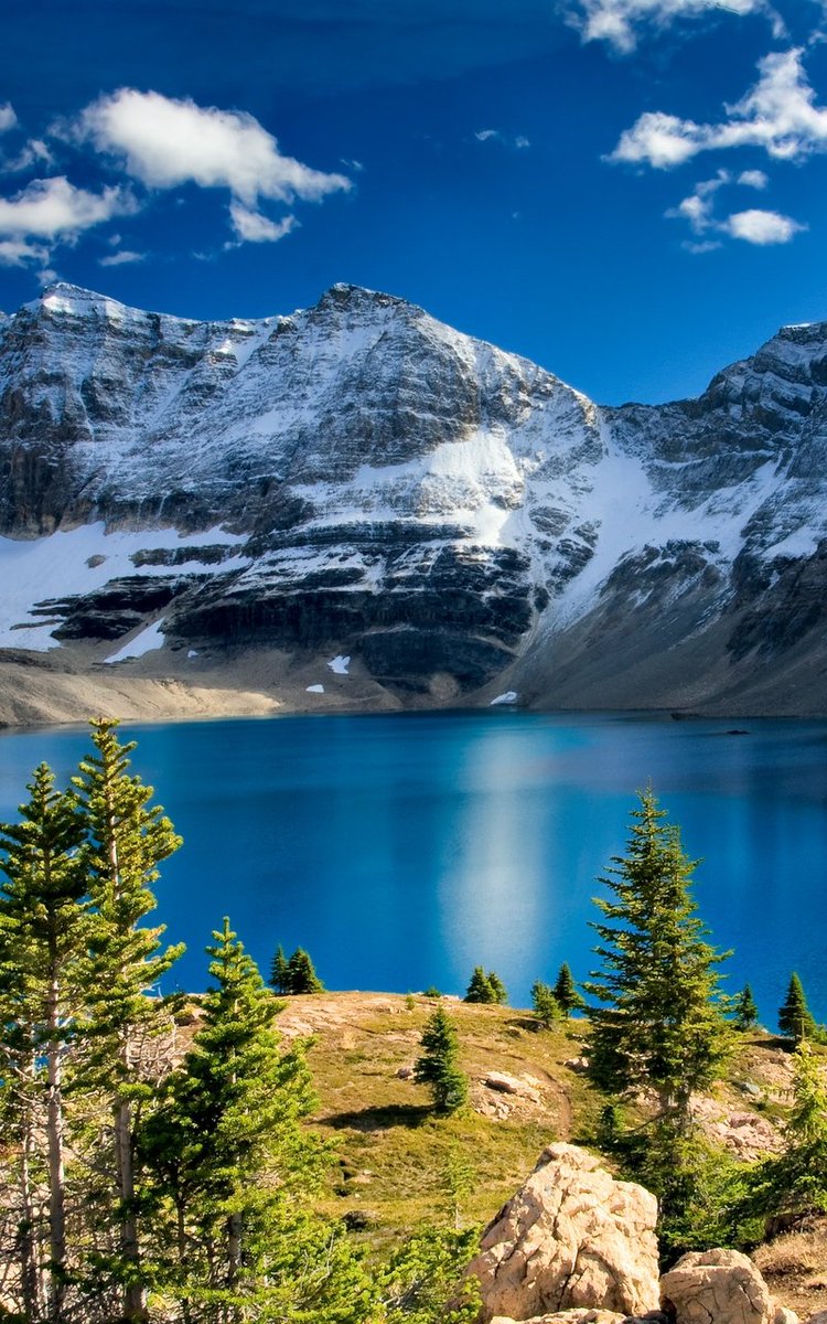 semljnika's tweet image. Happy Friday everyone
            💦 💦 💦