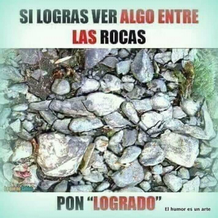 avuiperdema's tweet photo. Logrado! https://t.co/hQhLs3HvNI