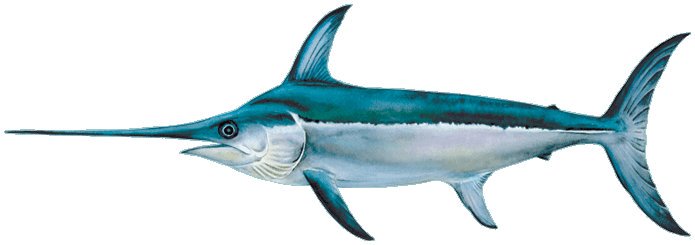 Jimmy Hollier tweet media