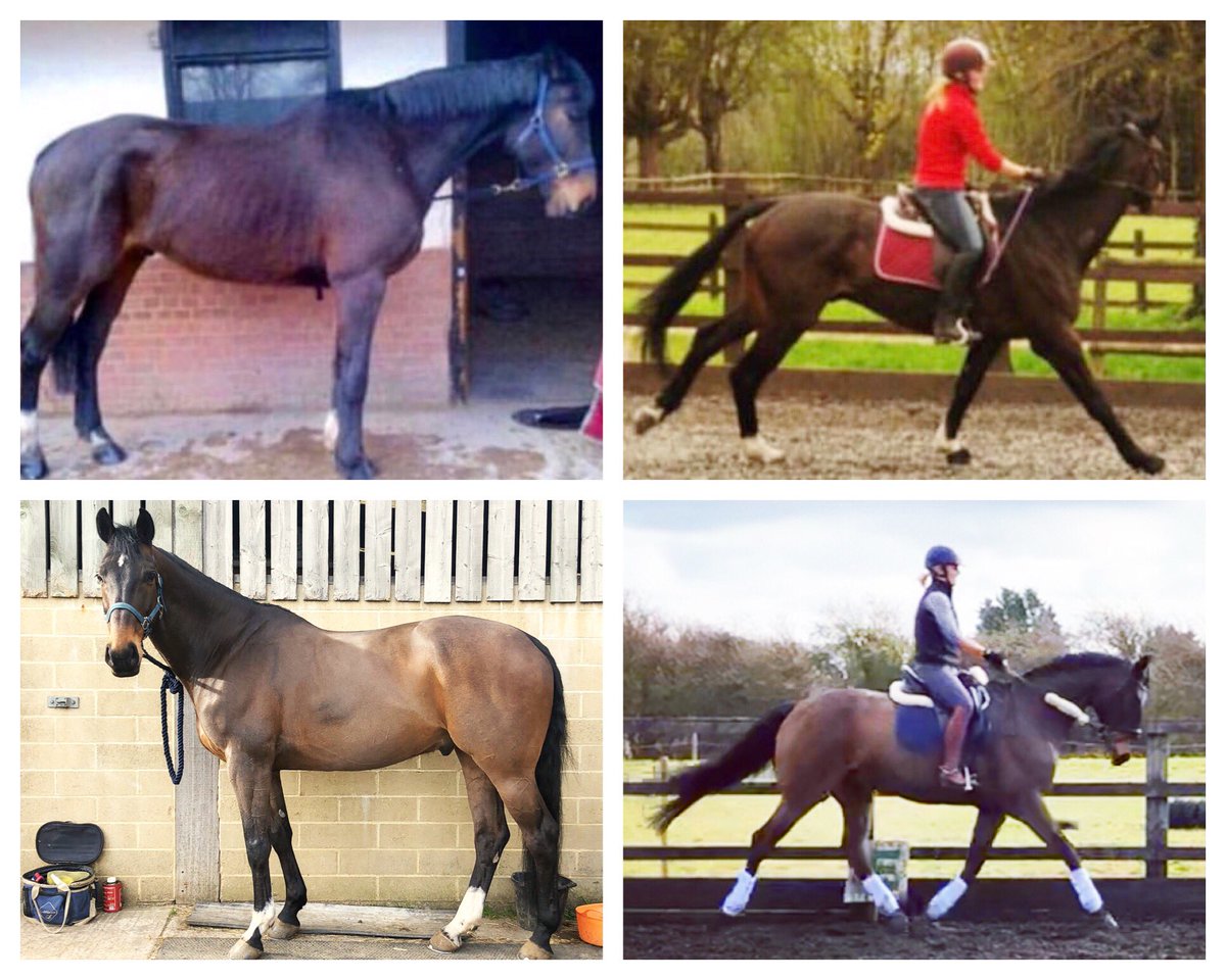 Alice_Tilley's tweet photo. &amp; what a 6 years it’s been 🌟❤️ https://t.co/a2vF2bM7Zh