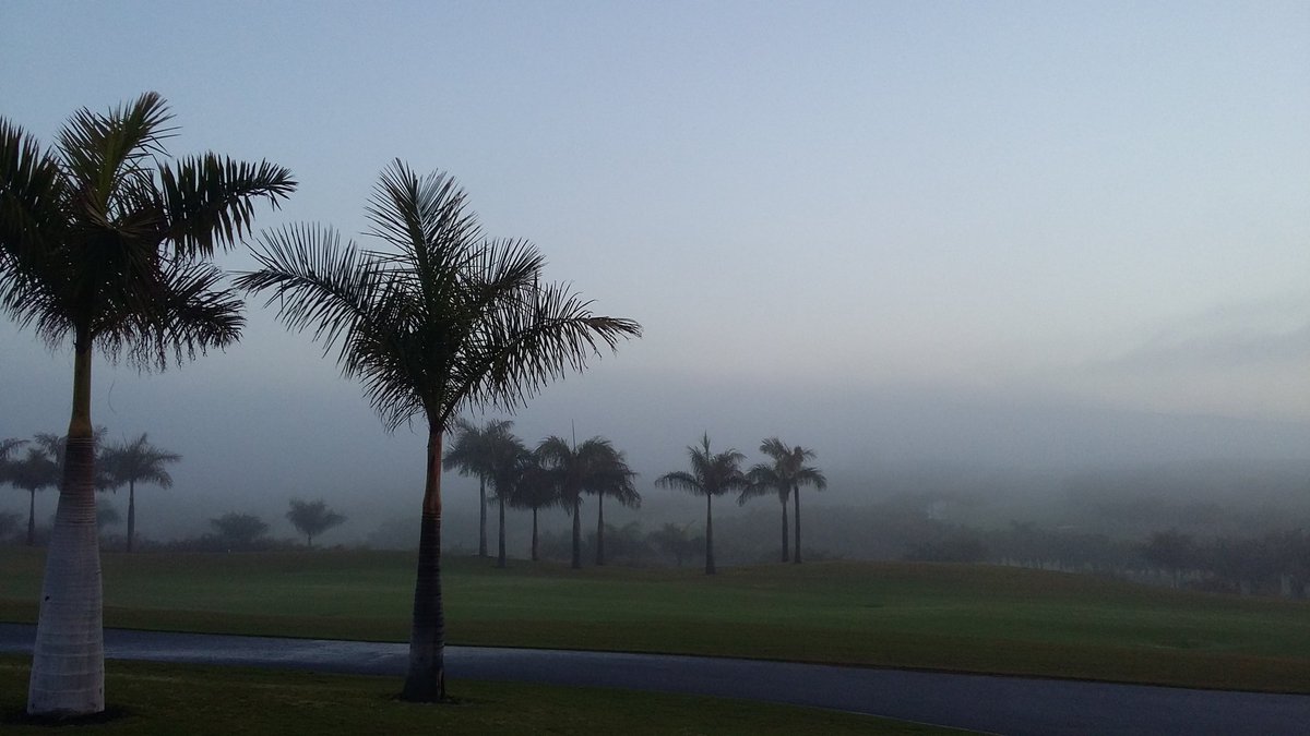 Good morning... #fog