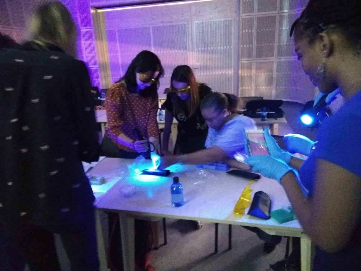 jenny_molloy's tweet photo. Visualising &amp; smelling results from the #LCVD #cellfree #synbio practical @FutureAfricaUP. Many oohs and aahs signal success! We're learning about #synbio approaches to diagnostics w @gilbertlatoani @MrSorbicillin &amp; Letrisha Padayachee. cc @synbioSRI @jimhaseloff https://t.co/Vhsa8Vched