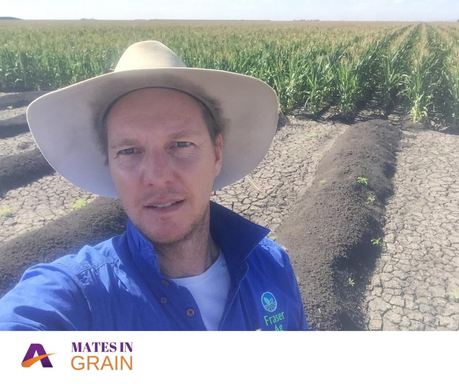 AlliedGrain's tweet photo. MATES IN GRAIN β MEET RICHARD FRASER πΎ Richard (@strikefrase1) is an agronomy consultant for his own company Fraser Agronomy which specialises in broadacre crops and high production grazing π https://t.co/reRGqPaUxF #MatesInGrain #AlliedGrainSystems #GrainStorageSolutions https://t.co/h521cZxg4R